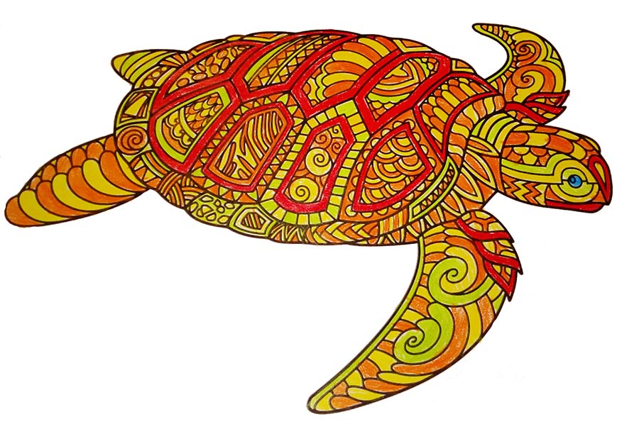 Mandala Tortuga pintado