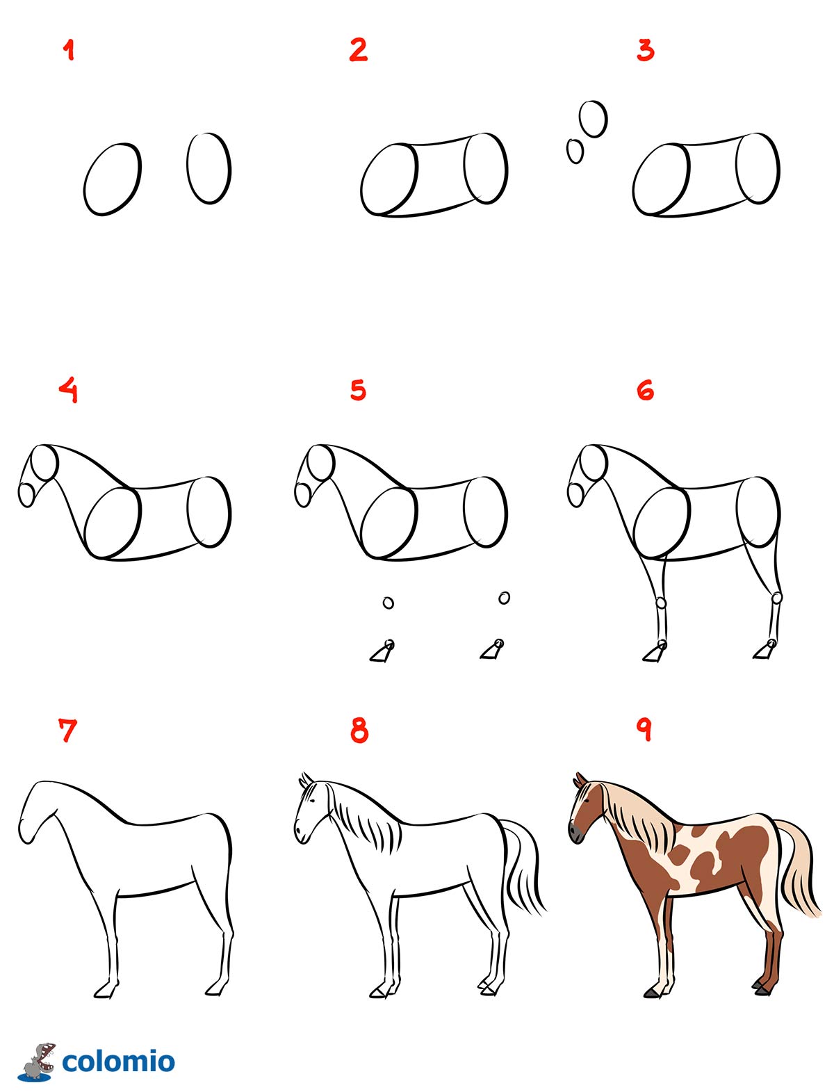 How to Draw a Horse - Step by step instructions